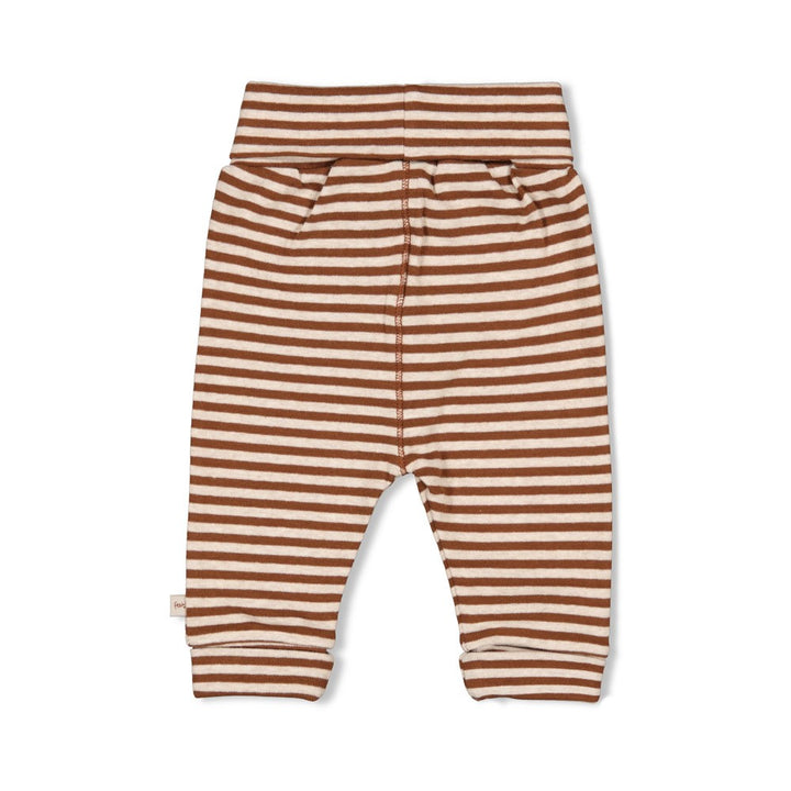 Feetje - Broek streep - Wild World